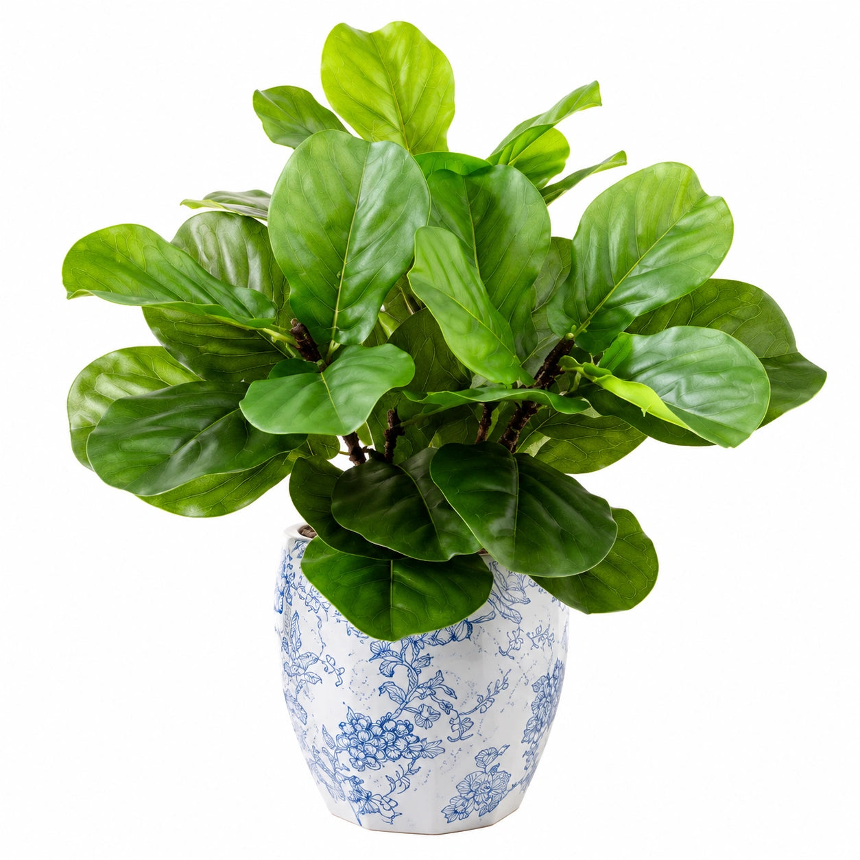 Pianta Artificiale con Foglie Grandi in Vaso Decorativo Bianco e Blu